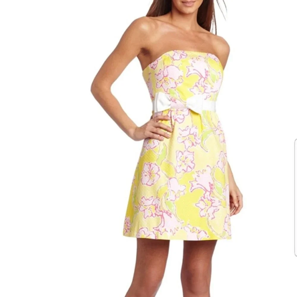 Lilly Pulitzer Amberly Dress 4 - Picture 2 of 12